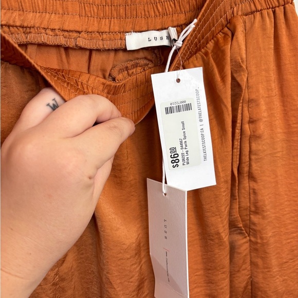 Lush Terracotta Wide Leg Pant - Picture 3 of 4